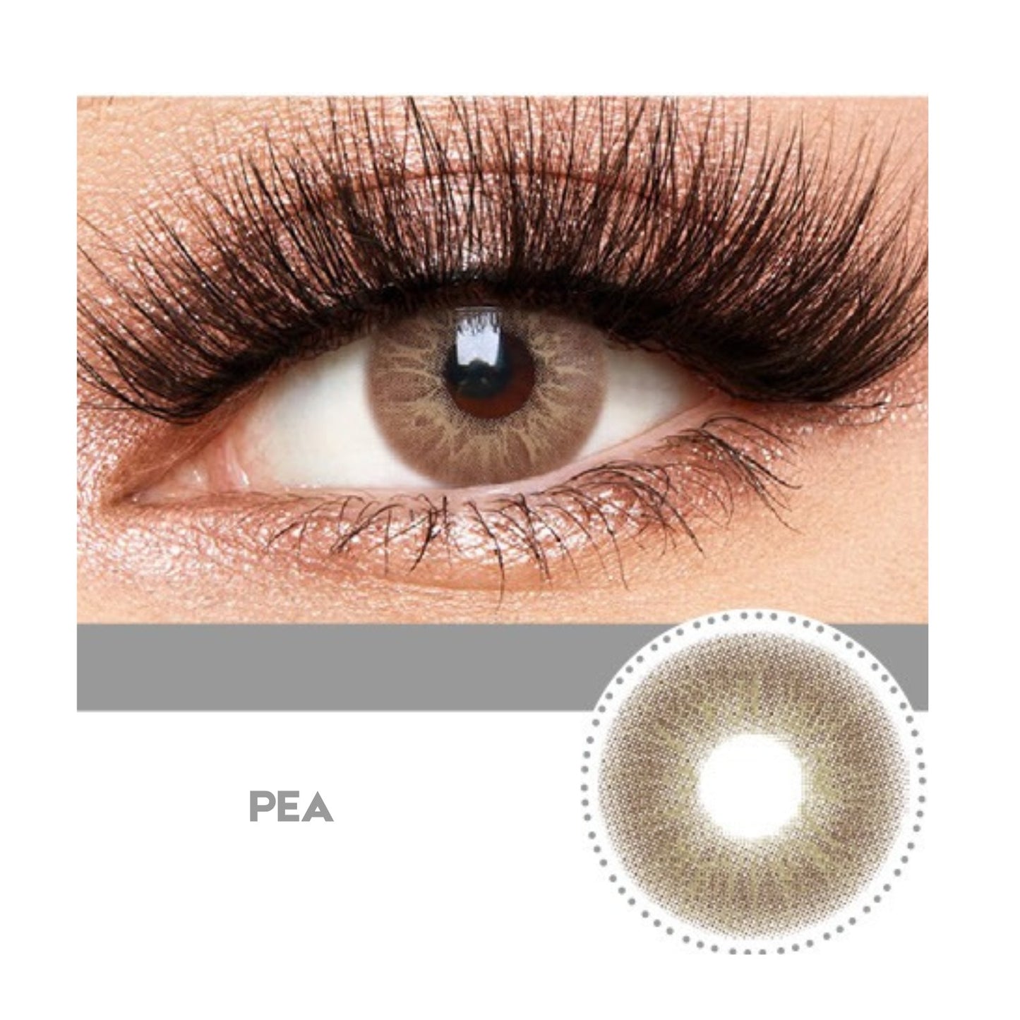 LENSES COLORS